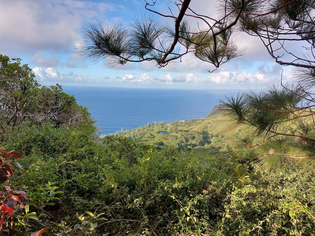 Probably the best view from a porch in the world (Pitcairn island)